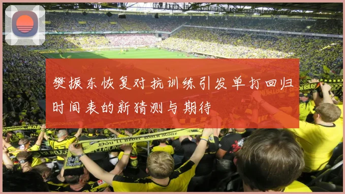 樊振东恢复对抗训练引发单打回归时间表的新猜测与期待