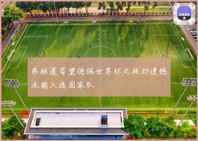 弗林蓬寄望德佩世界杯之旅却遗憾未能入选国家队