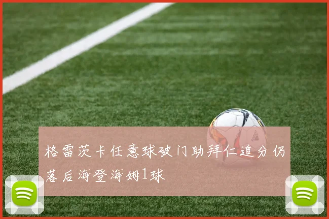 格雷茨卡任意球破门助拜仁追分仍落后海登海姆1球